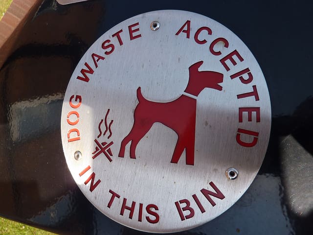 Dog poop should not be thrown in a bin and ignored. The problem is yours.