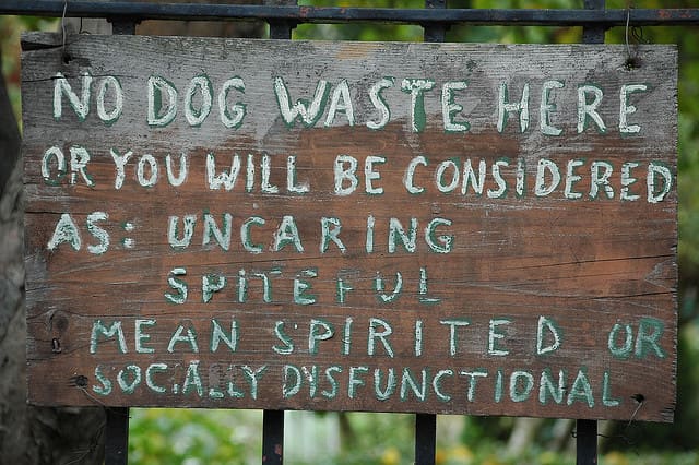 Do something about your dog´s poop.