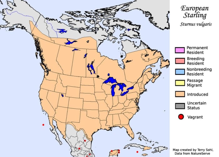 The current range of the European starling in the US includes every continental state as well as portions of Canada and Mexico.