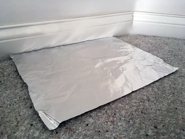 After cleaning up an area where your cat has gone to the bathroom, cover it with aluminum foil. This will help prevent him from returning to this spot.