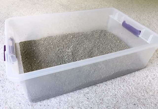 This is the Sterilite 1655 28 Quart Storage Box that my cats use as their litter box. The dimensions are 23” L, 16.25” W, 6” H. It can usually be found for under $5 US in the home organization section of discount stores.