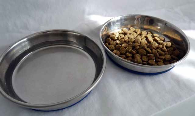 Ceramic dishes and bowls are ideal. 