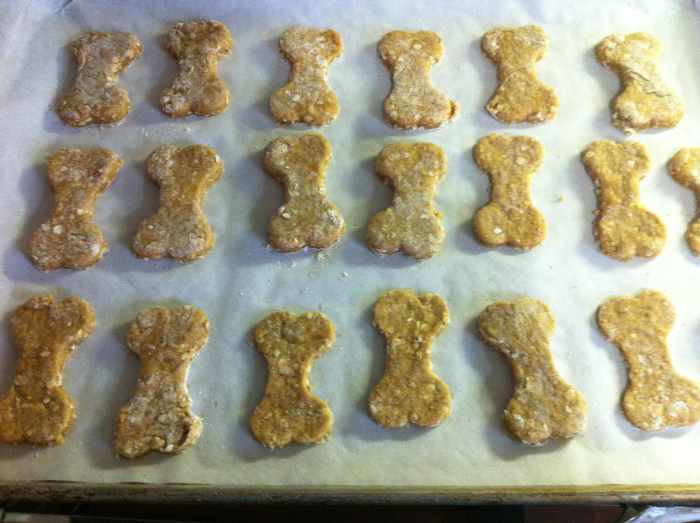 Homemade Dog Treats (Peanut Butter, Banana, and Oatmeal) PetHelpful