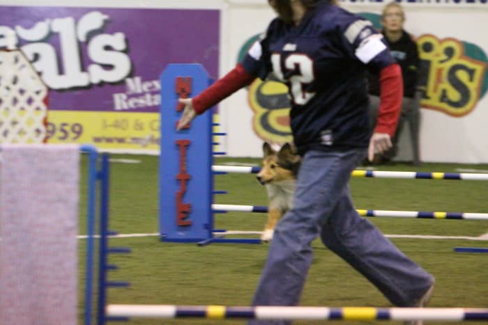 This blue football jersey and the blue jeans will contrast nicely with the brownish-green soccer turf. However the busy nature of the wall advertising and the numbers, letters and logo on the jersey could blend easily.