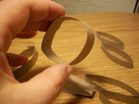 How to Make Free Ring Cat Toys Out of Toilet Paper Rolls - PetHelpful