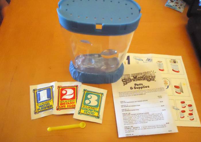 Contents of the Sea Monkey Kit