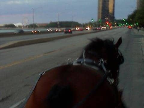 Horses can take us places we never thought we would go and make us see things we have never imagined.
