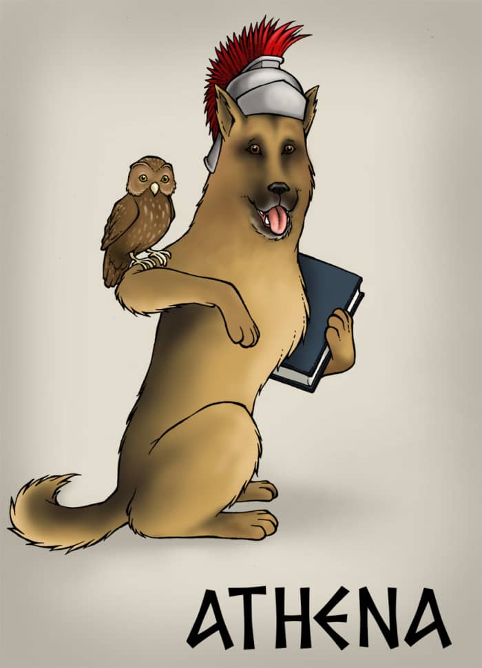 170+ Greek Dog Names That Make Epic Female Puppy Names PetHelpful