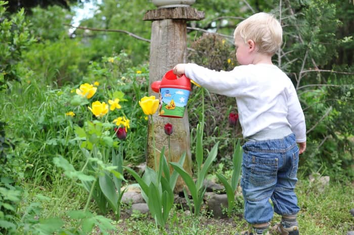 helping your children create a small memorial garden after a special pet dies can help cope with their feelings of sadness.