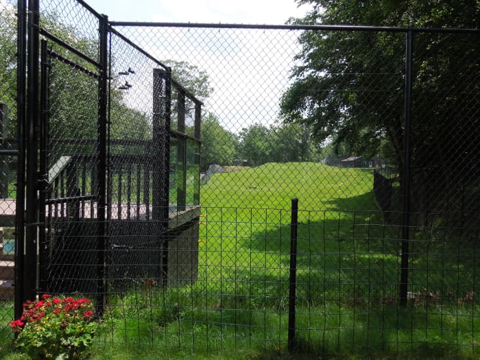 Example of a cheetah breeding enclosure at Leo Zoological Conservation Center. Copyright Melissa Smith. All Rights Reserved.