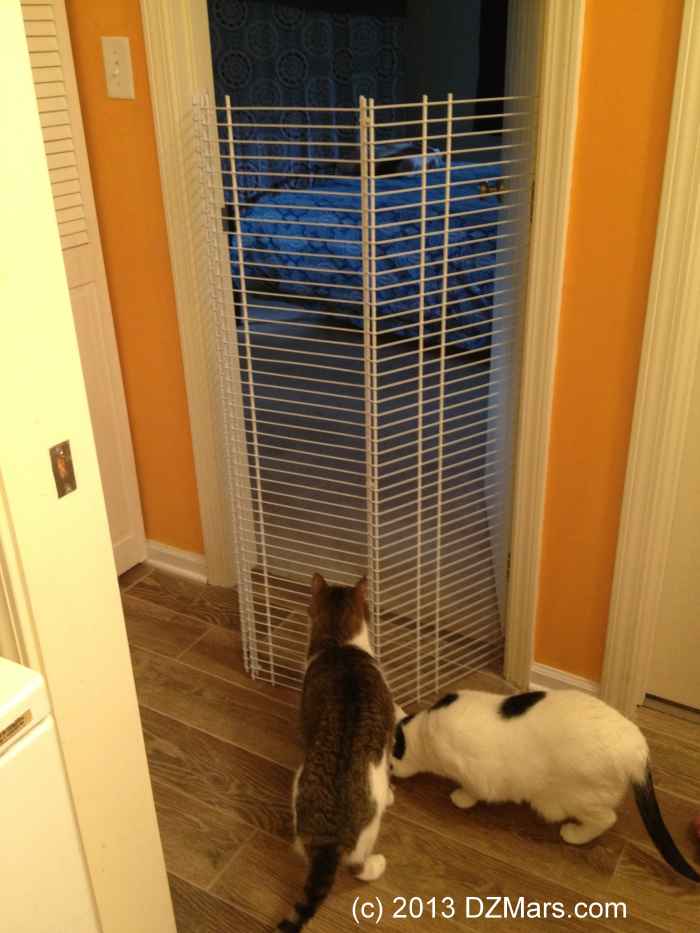 DIY Tall Cat Gate Cheap, Easy, and No Tools Required! PetHelpful