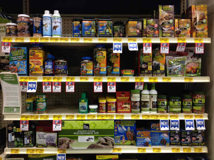 How to Keep a Wild Turtle as a Pet PetHelpful