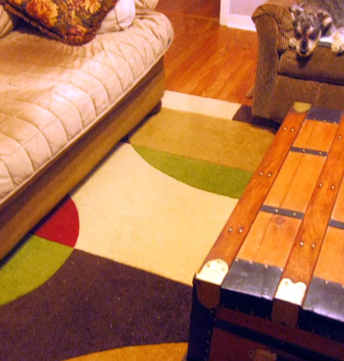 With a blind dog in the house, pathways should not be too narrow. That heavy chest had to be moved further away from the sofa.