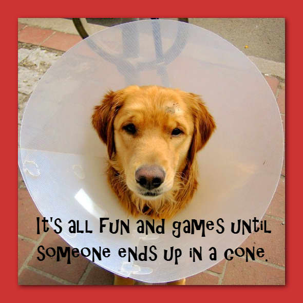 It's all fun and games until someone ends up in a cone.