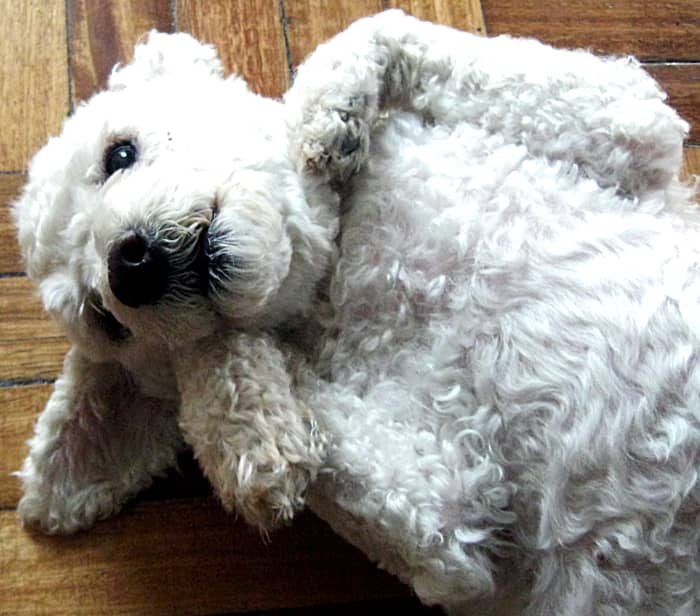 Nothing feels better than a good belly rub. Don't skip the good stuff.