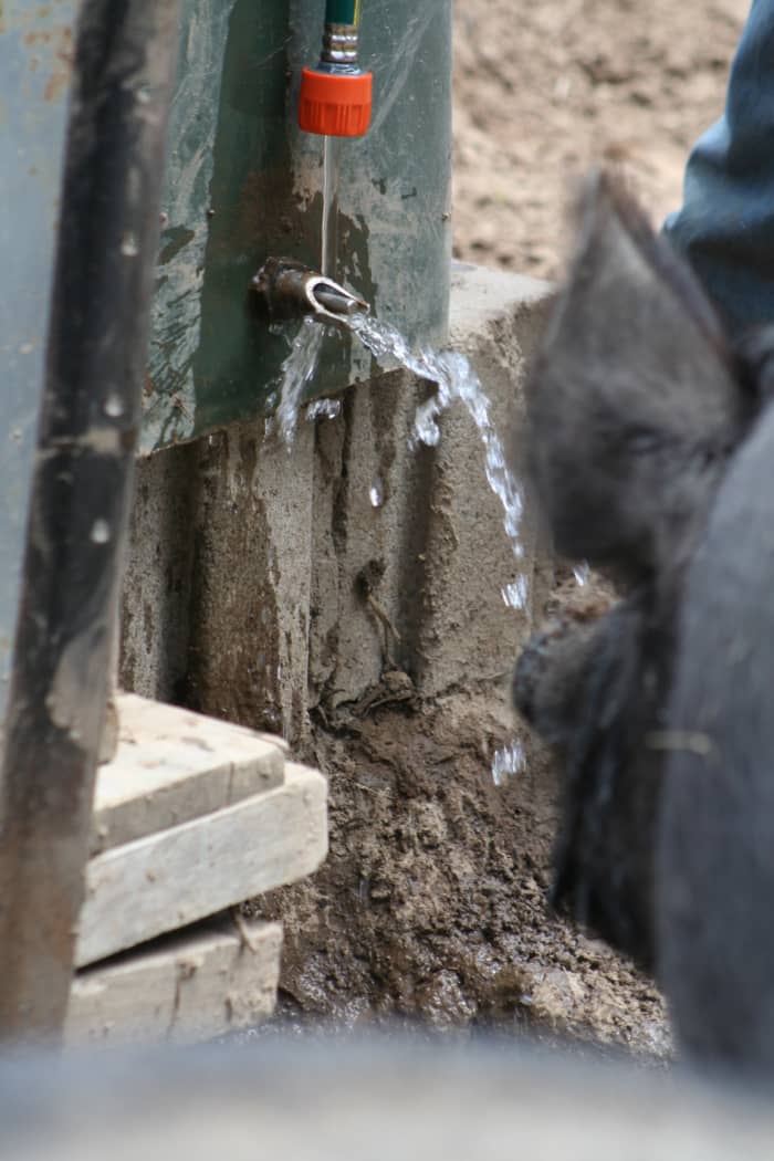 Our pigs drink from a 'water nipple' inserted in the bottom of a large plastic garbage bin used to hold fresh water. It is attached to a tree or a fence post and raised up on cement blocks, preventing them from spilling and wasting it.