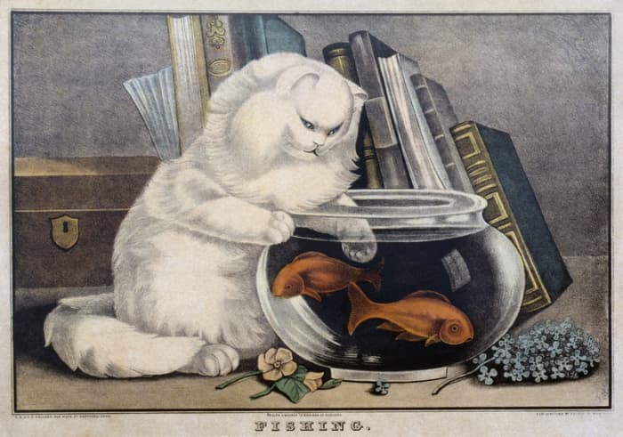 Despite the common depiction of goldfish in a fishbowl, this is not a sufficient home for them.