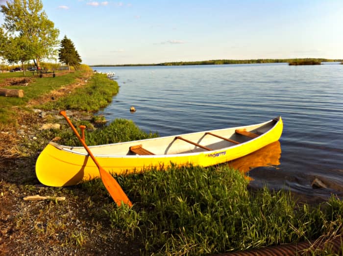 Give your dog a chance to get comfortable with your canoe while it's on dry land. This will help lessen their anxiety when it's time to paddle out.