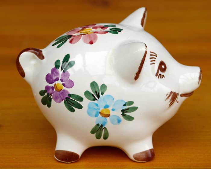 It's important to save for pet emergencies. A piggy bank may work, but a savings account at a bank is probably a better idea.
