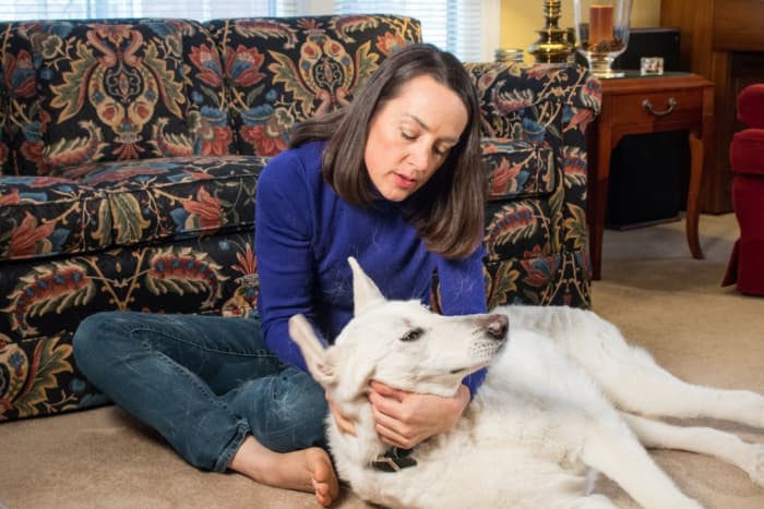 Preventing cataracts is easier than treating them. Regular vet checkups will help identify any visual deficits that may need medical intervention.