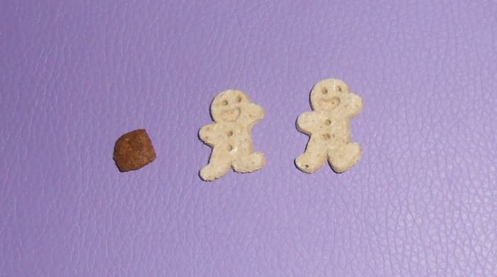 Cloud Star makes Itty Bitty Buddy Biscuits. They are not much bigger than Misha's dog food.