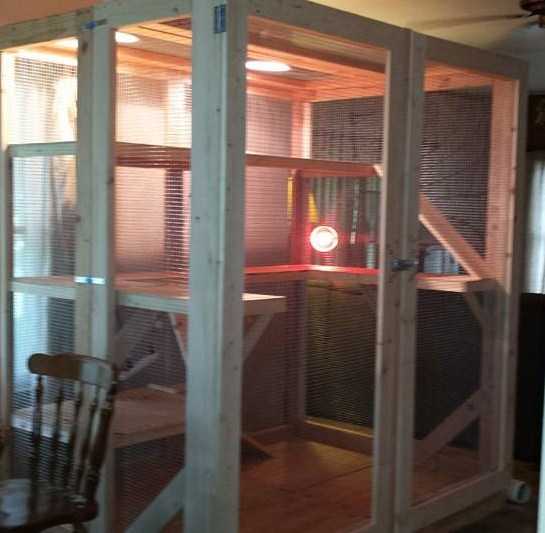 The Best Iguana Cages and Where to Buy Them PetHelpful