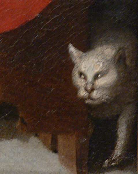 Es ist wichtig, Anzeichen von Stress bei Ihrer Katze zu erkennen.