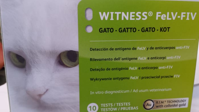 In-house testing for FIV is quick and simple, and it should be performed on every cat with a history of being bitten.