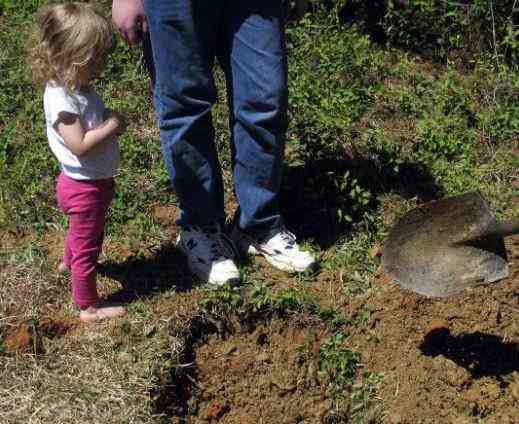 picking-up-your-dogs-ashes-is-a-difficult-time