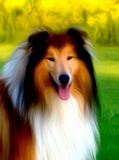 picking-up-your-dogs-ashes-is-a-difficult-time