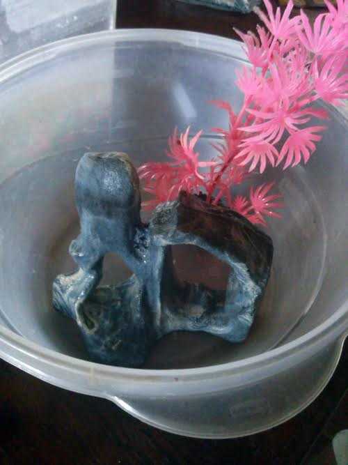 Remove the tank accessories.