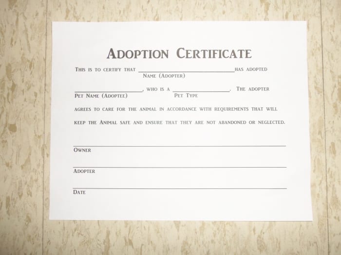 Pet parents are usually happier with adopting animals from a shelter, since the animals are generally more loving than store bought animals (of course, there are always exceptions).