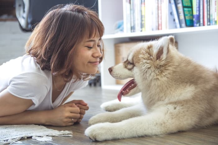 A dog and his loving human can have a long relationship provided certain commonsense precautions are taken to prevent canine heatstroke.