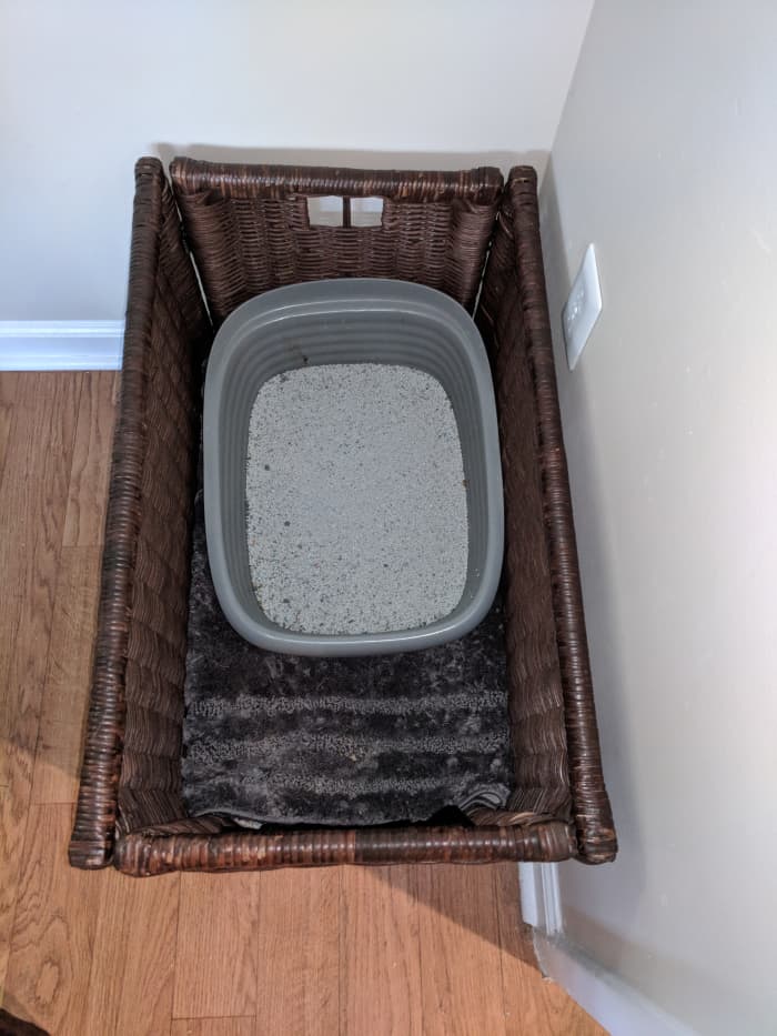 Here's what the inside of the box looked like with the carpet and the litter box in place!
