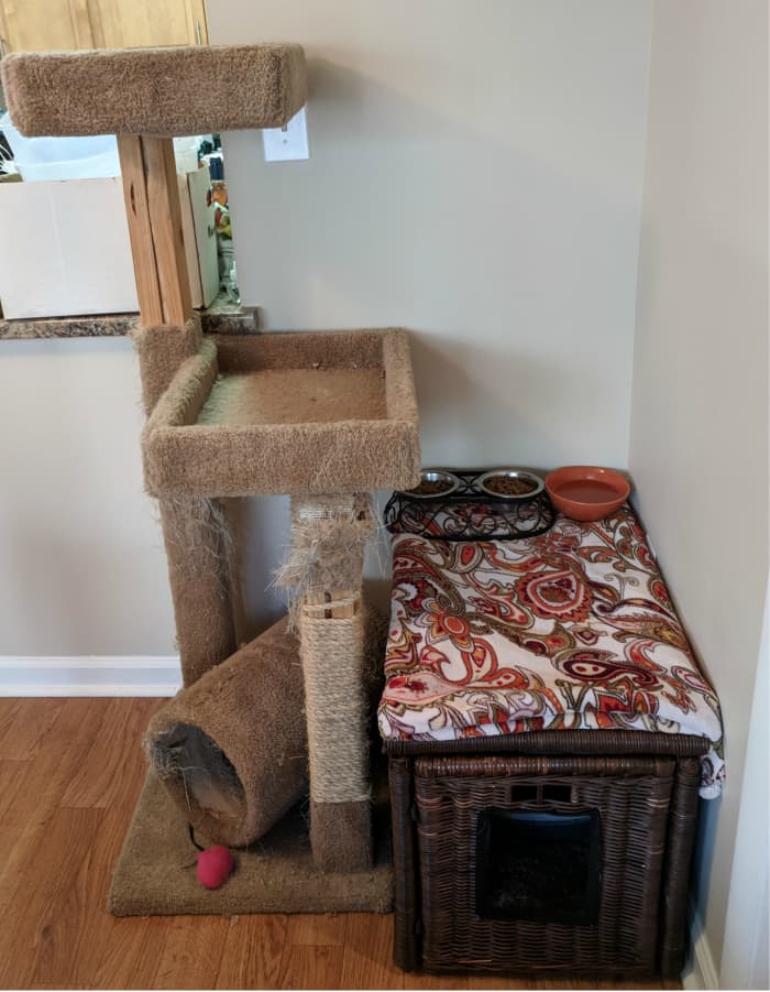 And the finished product, all set in place. My cat tree needs a little love so that is going to be my next project to get the cat corner looking good and up to snuff!