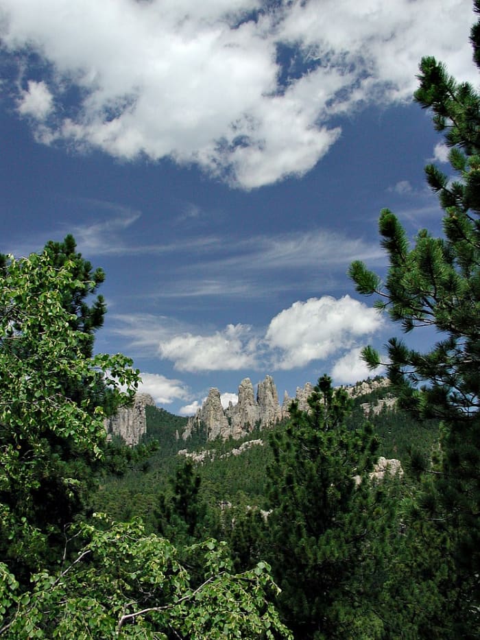 Custer State Park is one of the best RV road trip destinations because it is located in the Black Hills and offers many activities.