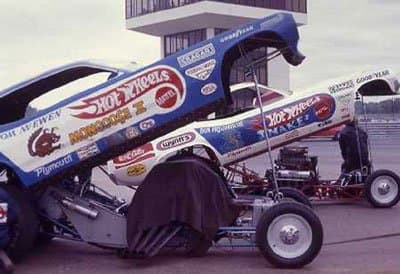 "Mongoose" and "The Snake" Very Cool!