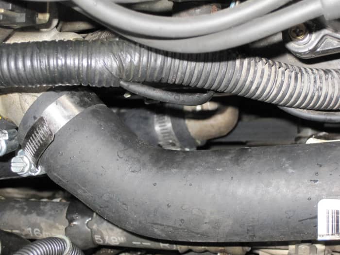 This photo shows the top radiator hose in the foreground and is taken from the passenger side of the vehicle looking over the fender.