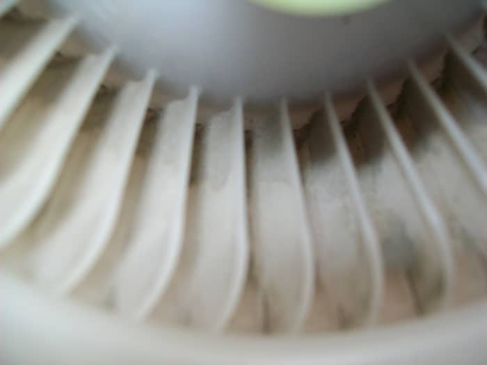 A deeper look inside the cooling fan. There's some buildup of dirt on the fins, but nothing that will prevent it from doing its job.