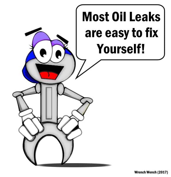 5 Reasons Your Car Might Be Losing or Leaking Oil AxleAddict