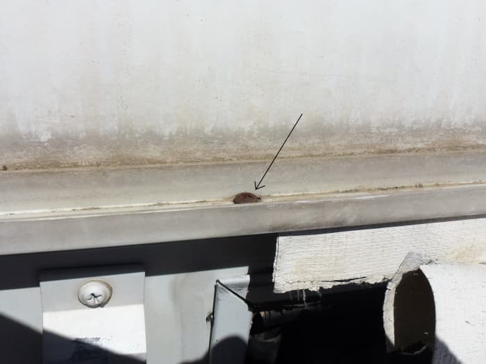 There was a screw, just outside the fabric, that had to be removed before the fabric could be slid out.