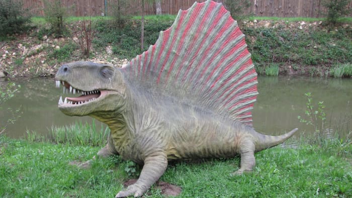 домашние животные, которых вы можете владеть и которые выглядят как динозавры и доисторические животные