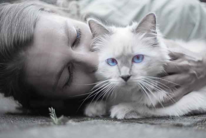 Cats can be just as affectionate toward their owners as dogs.
