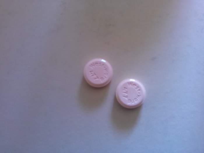 15 Causes of Panting in Dogs PetHelpful