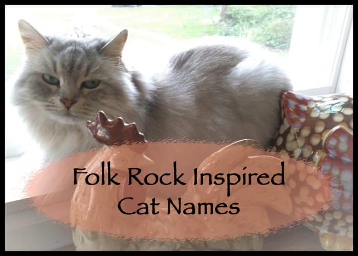 The soft sounds of folk-rock have inspired many a name for a cat. Here is a list of some of them.