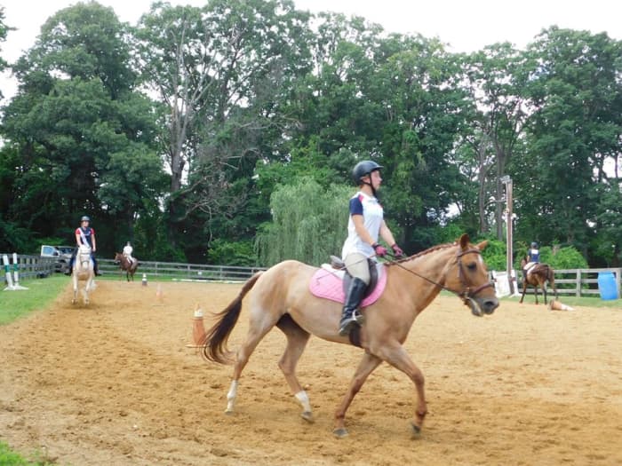When your riders are in groups, having them watch each other can be very helpful for them to understand how to tell if diagonals are right or wrong.