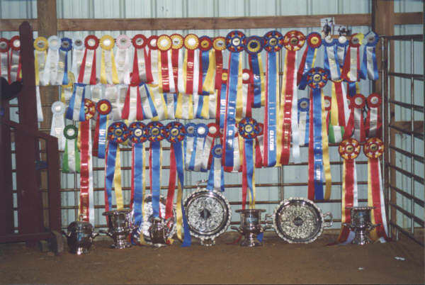 Competitive goals are great. Sometime you may find that those who work in the industry unless they are in the upper echelon of equestrian sports, have to put their own riding on hold for their customers.