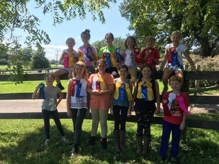 Riding lessons and summer camps go hand and hand. A good job choice for someone who likes teaching kids and is creative enough to come up with fun ways to teach horsemanship.