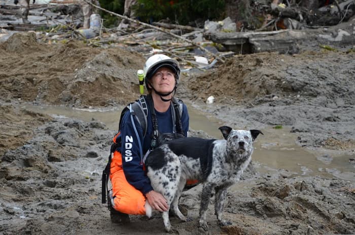 Working with Northwest Disaster Search Dogs, Lisa Bishop and her dog, Cody, watch the skies for the rescue helicopter to arrive