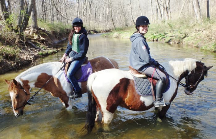 Наши лошади всегда любят играть в воде на прогулках!